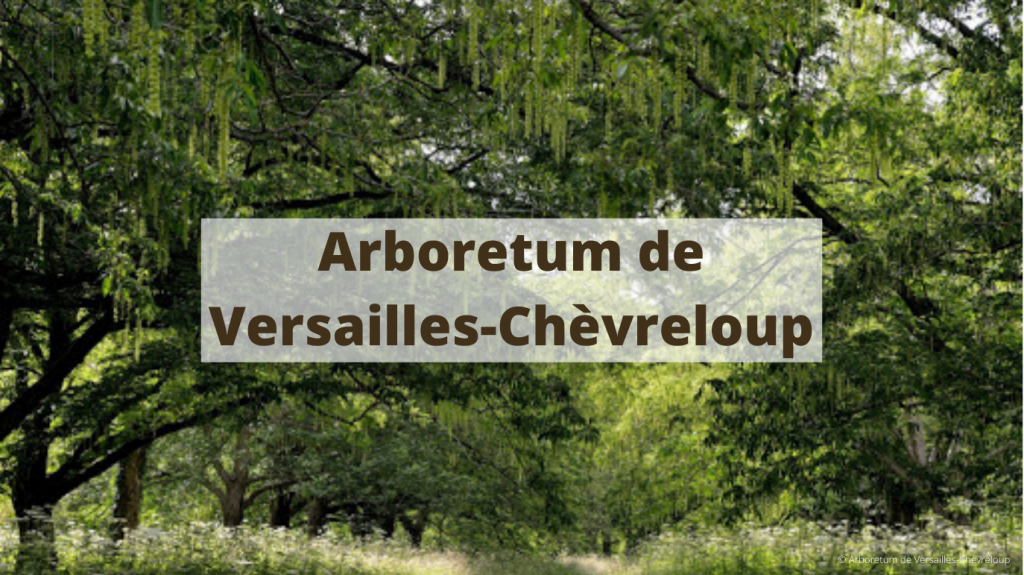 Arboretum de Versailles-Chèvreloup