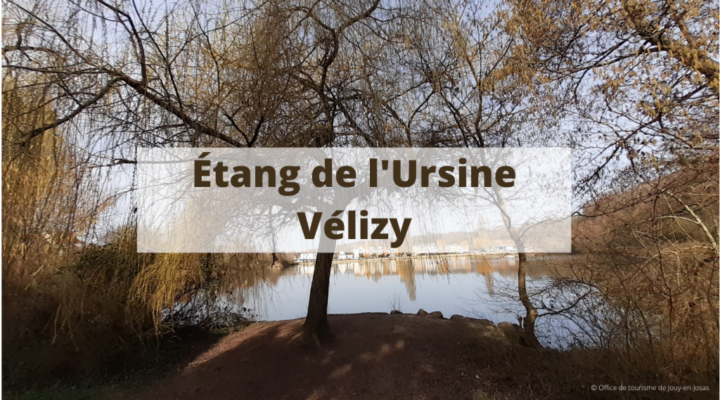 Étang de l'Ursine à Vélizy