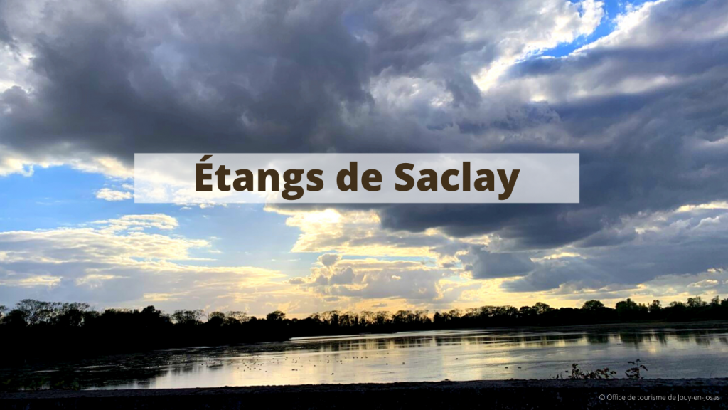 Étangs de Saclay