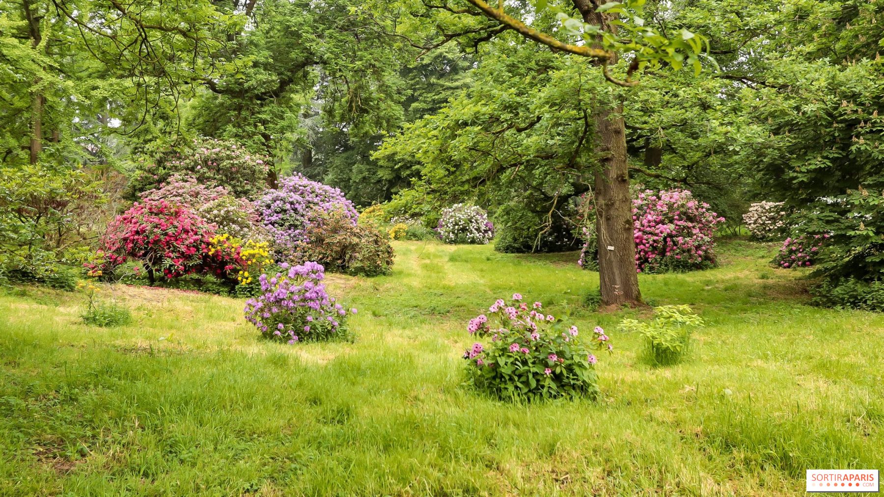 arboretum